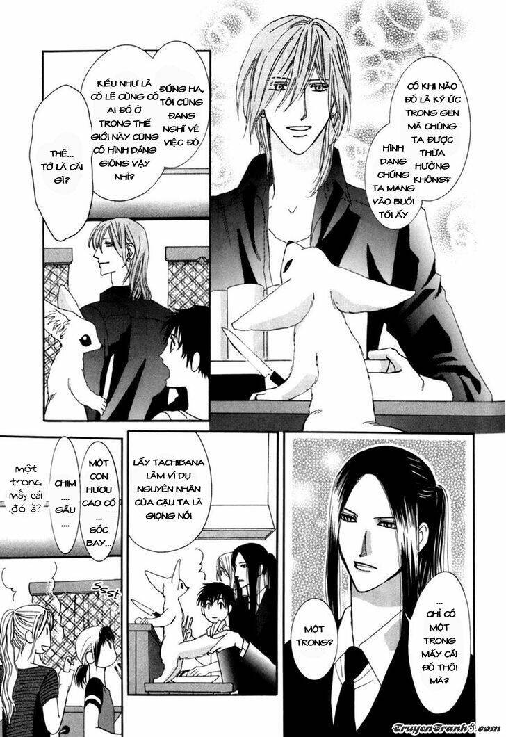 Moon Trick: Chapter 12