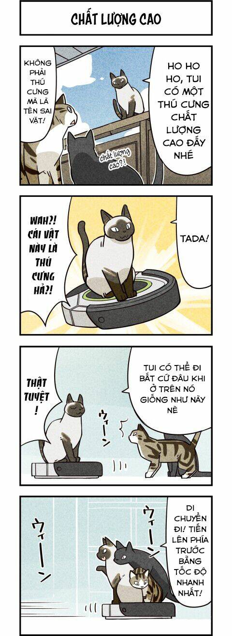 We Are Cat: Chapter 10