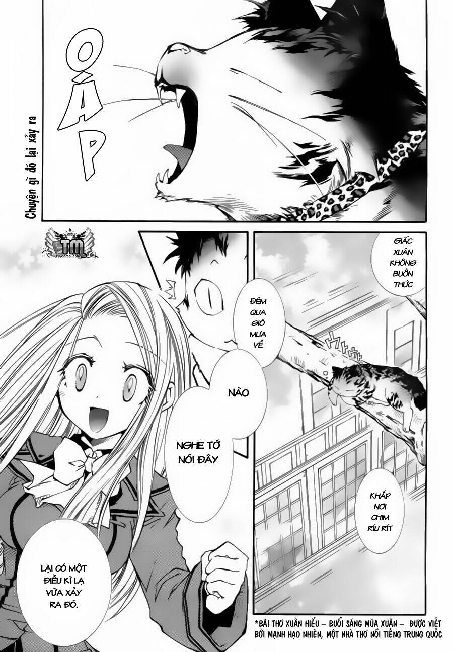 Toraneko Folklore: Chapter 9