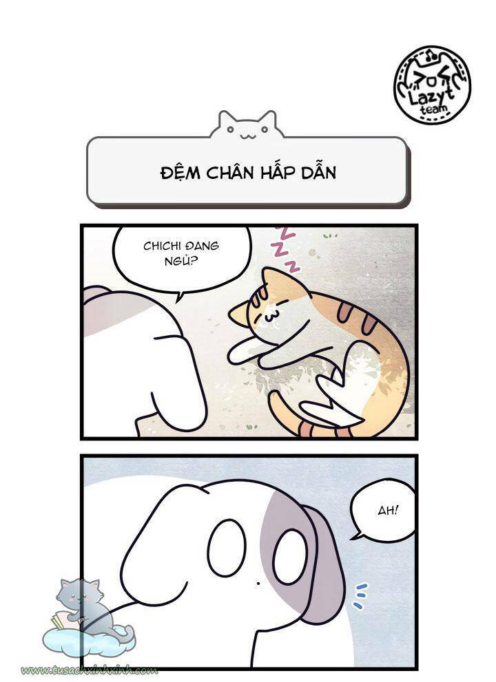 Khi Loài Mèo Làm Bá Chủ Thế Giới: Chapter 8