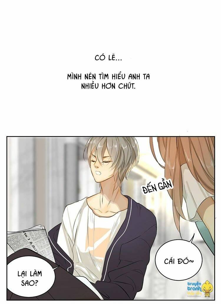 Cứu Mạng! Loài Mèo Thống Trị Thế Giới Rồi!: Chapter 13