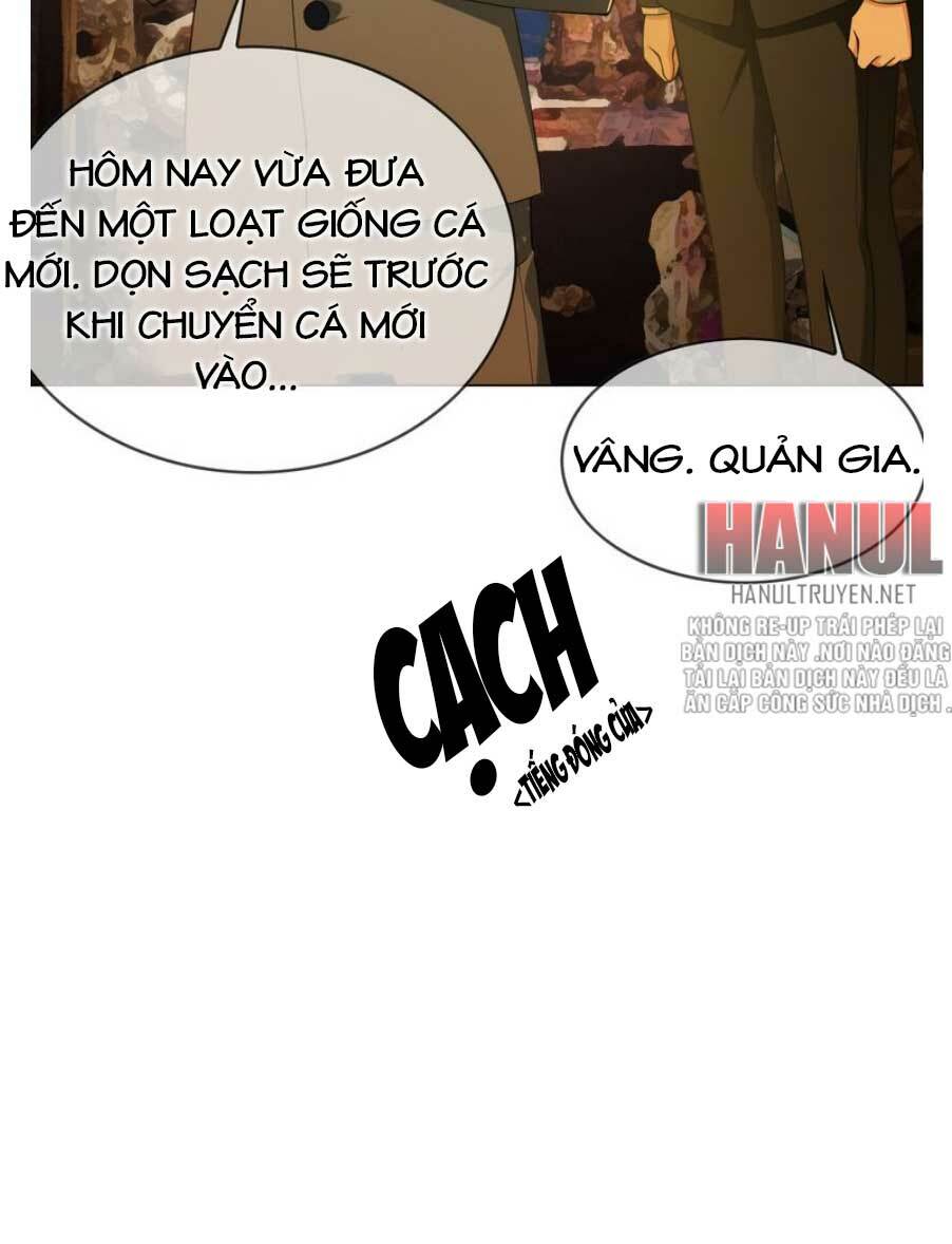 Cô Vợ Nhỏ Nuông Chiều Quá Lại Thành Ác!!: Chapter 207.2