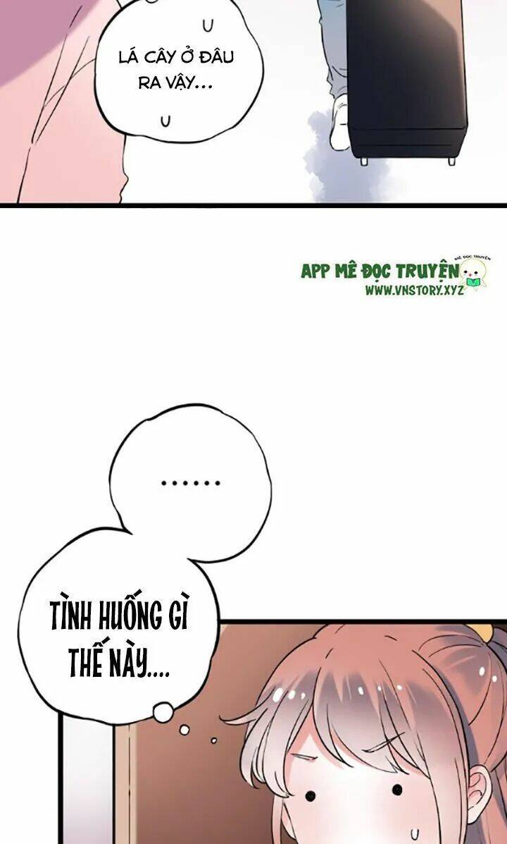 Trạch Thượng Tịch Mịch Huỳnh Hỏa: Chapter 25