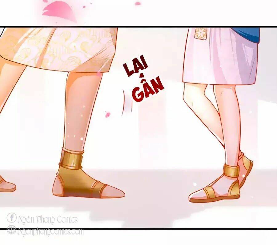 Sủng Hậu Của Vương: Chapter 6