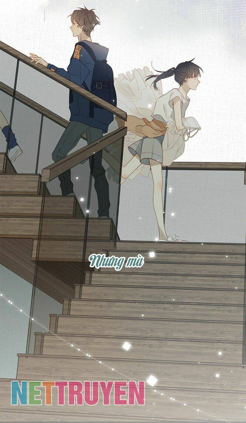 Lời Thề Như Sương Triều: Chapter 8