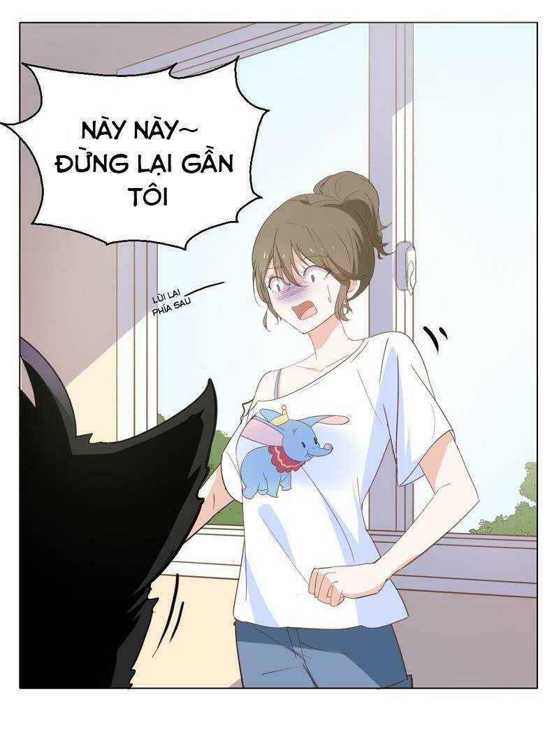 Thập Nhị Hắc Miêu: Chapter 4