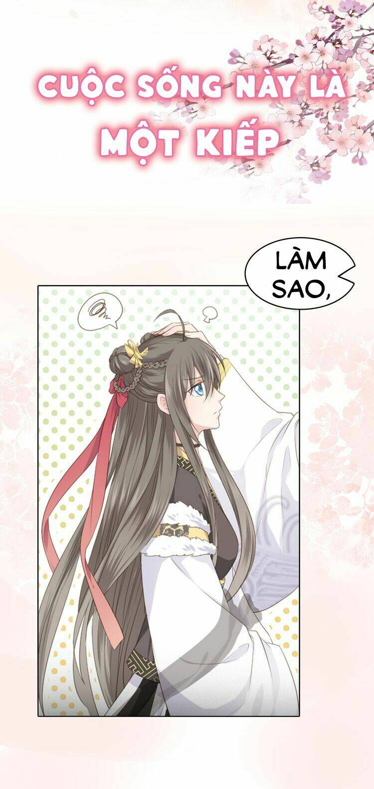 Tước Kiều Tiên: Chapter 0