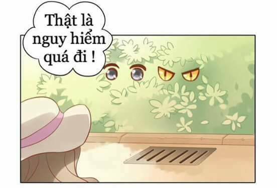 Dưới Móng Vuốt Mèo: Chapter 8