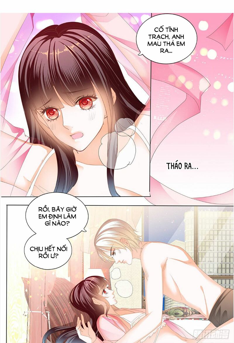 Thiểm Hôn Kiều Thê: Chapter 252