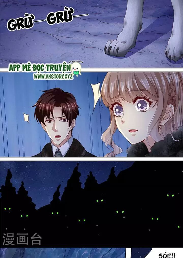 Cưng Chiều Vợ Yêu: Chapter 307: Đánh lén