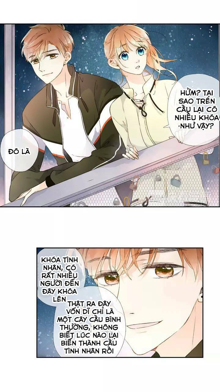 Tình yêu là màu hoa anh thảo: Chapter 21