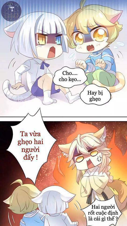Dưới Móng Vuốt Mèo: Chapter 18