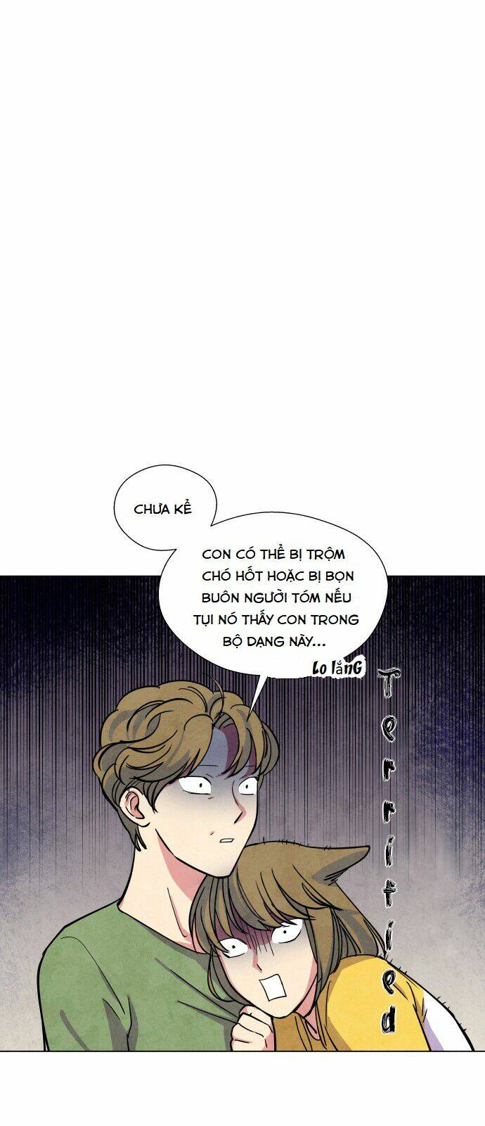Tai Sói Và Mũ Đỏ: Chapter 1