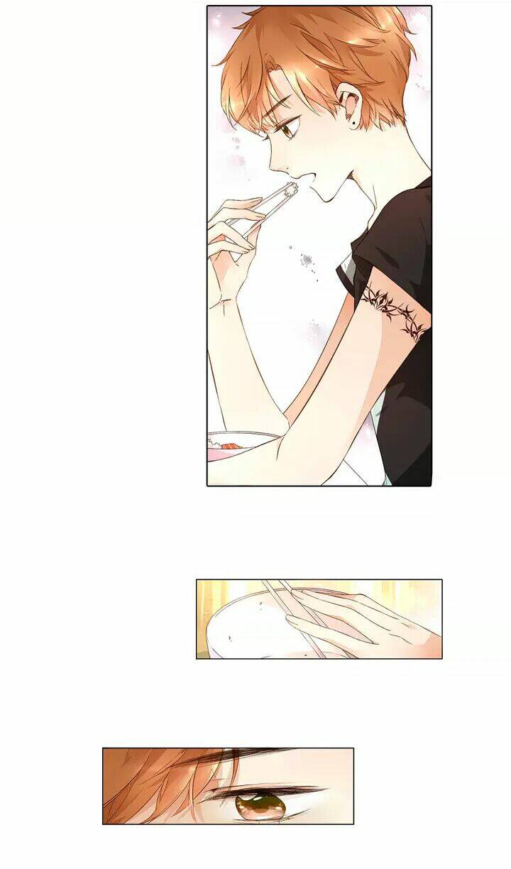 Tình Yêu Là Màu Hoa Anh Thảo: Chapter 15.1