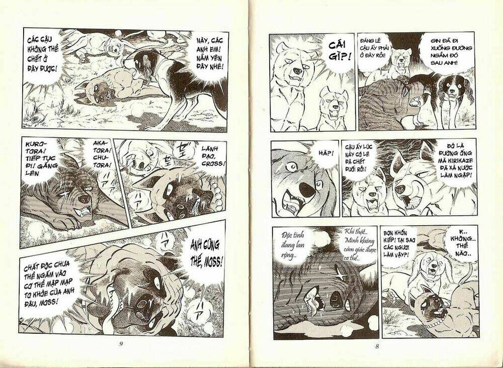 Chú Chó Có Nghĩa - Ginga Nagareboshi Gin: Chapter 19