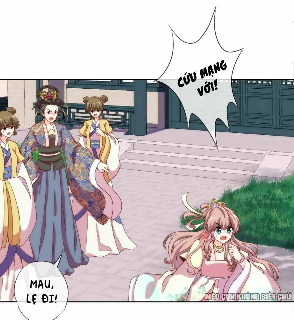 Ồ, Sủng Phi Đại Nhân Của Ta: Chapter 4