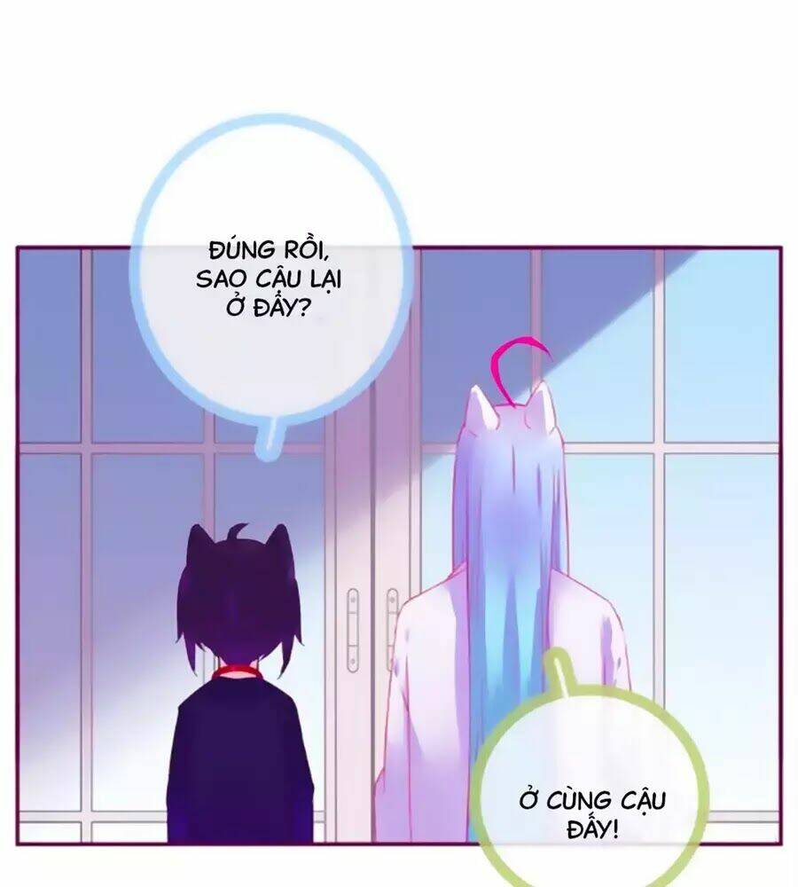 Đừng Nghịch, Ta Chỉ Muốn Yên Tĩnh: Chapter 61