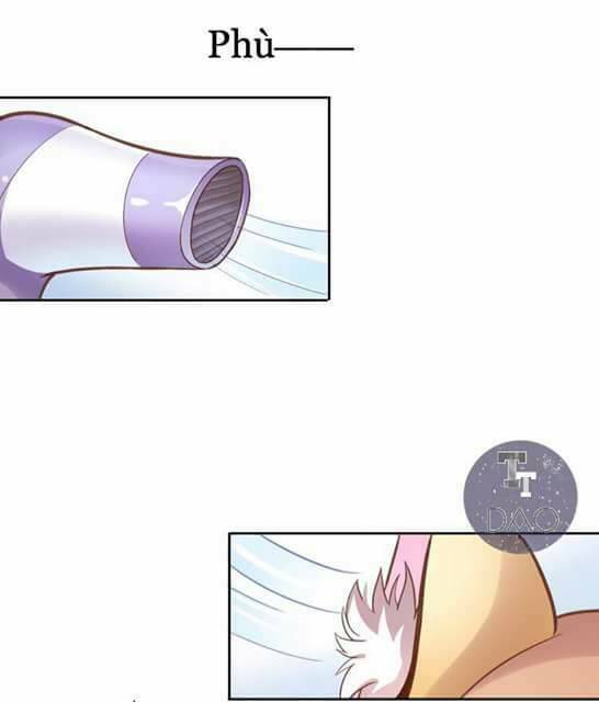 Dưới Móng Vuốt Mèo: Chapter 1