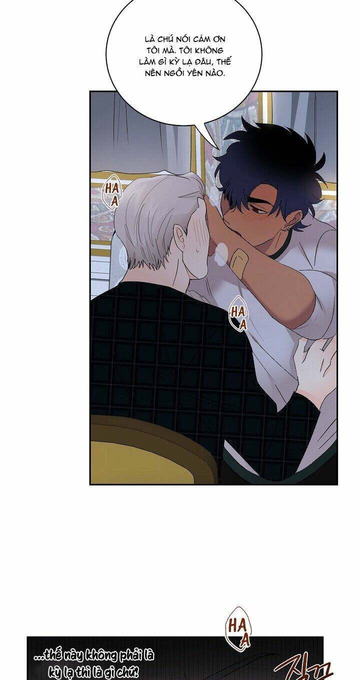 Kẻ Cắp Mặt Trăng: Chapter 13