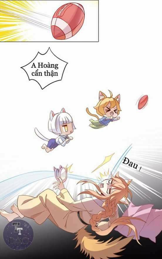 Dưới Móng Vuốt Mèo: Chapter 1