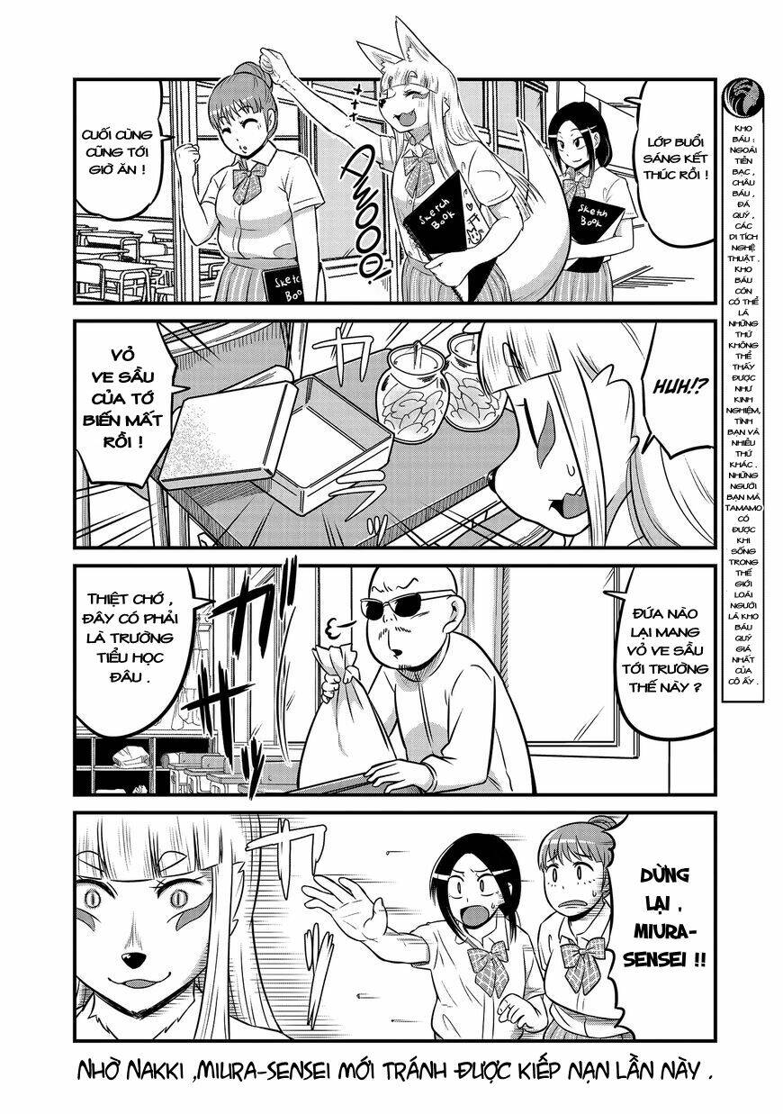 High School Inari Tamamo-Chan: Chapter 16