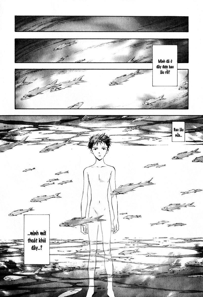 Shin Seiki Evangelion: Chapter 50