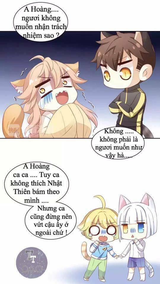 Dưới Móng Vuốt Mèo: Chapter 14