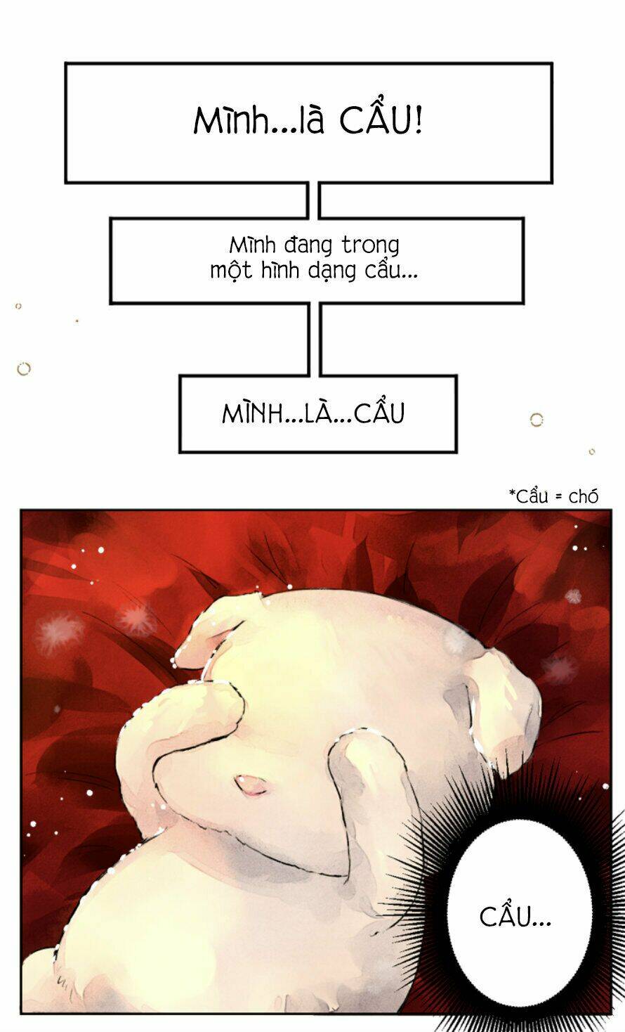 Cún Con Đáng Yêu Của Vị Hoàng Đế!: Chapter 0