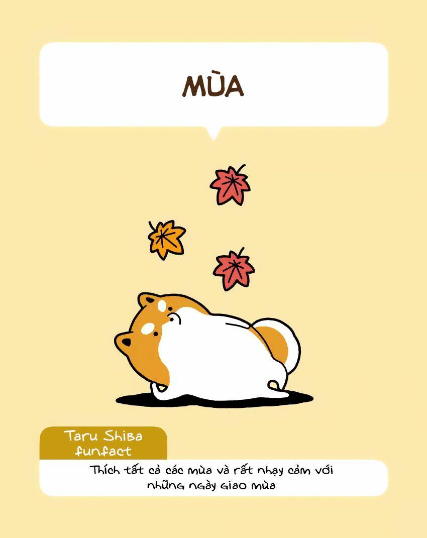 Taru Shiba: Chapter 6