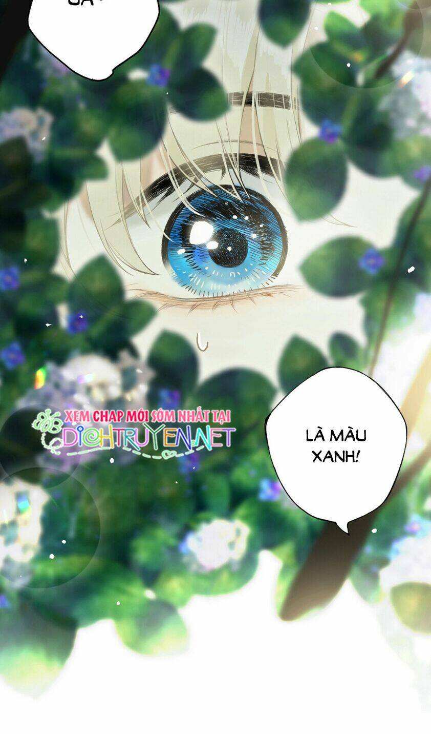 Lưu Hoa Bất Cập Xuân: Chapter 22.5