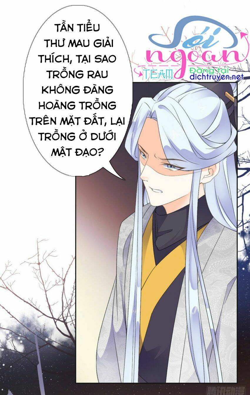 Tang Lạc Túy Tại Nam Phong Lý: Chapter 36