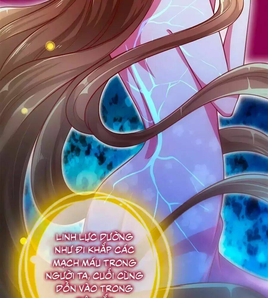 Phụng Lâm Thiên Hạ: Đệ Nhất Mỹ Nữ: Chapter 11