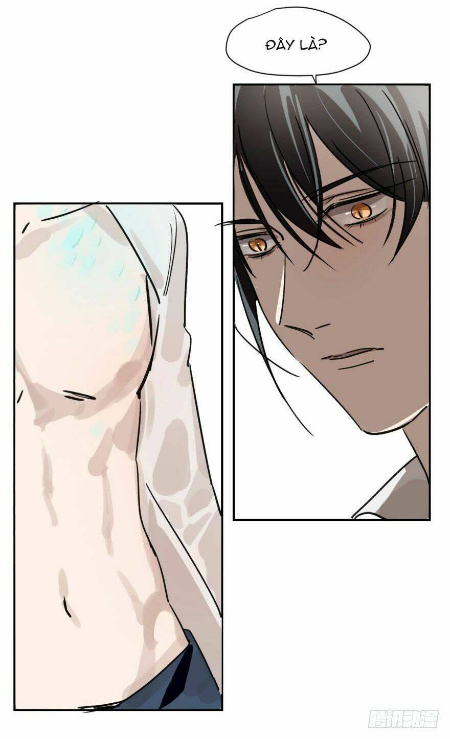 Truy Bắt Ngao Ngao: Chapter 4