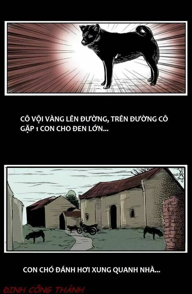 Thầy Súng Kể Chuyện Ma: Chapter 8.5