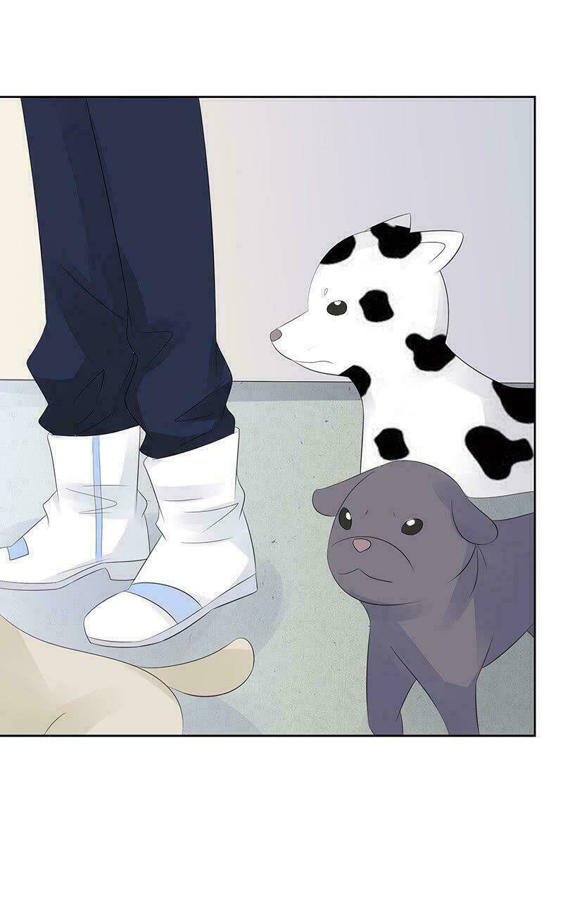 Băng Sơn Học Trưởng Không Được Chọc: Chapter 12