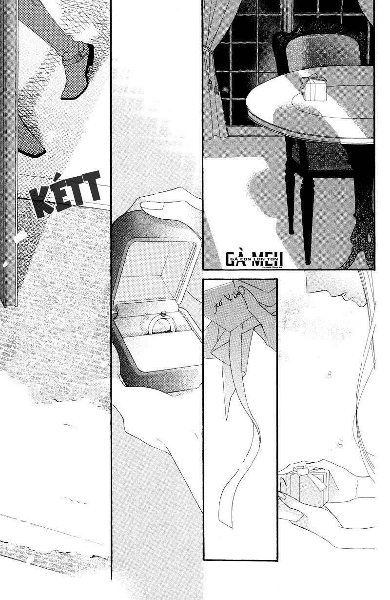 Hoa Trong Bão: Chapter 6