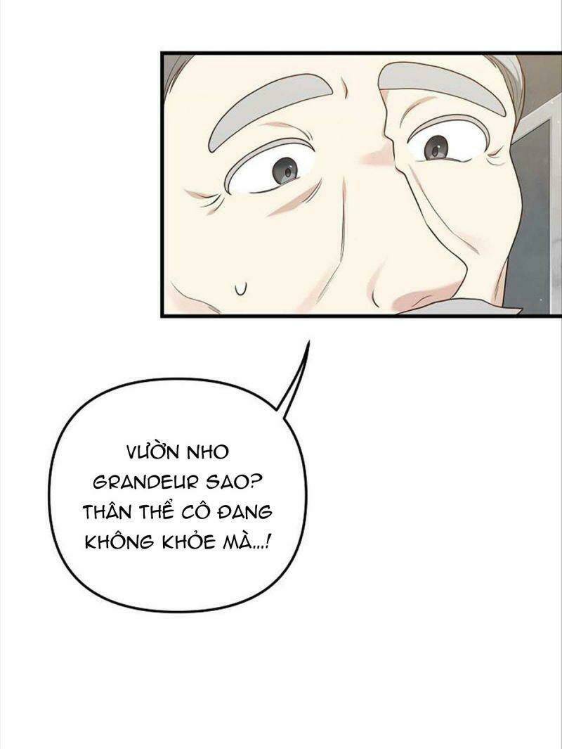 Hôn Phu Của Tôi Là Nam Chính Yandere: Chapter 11