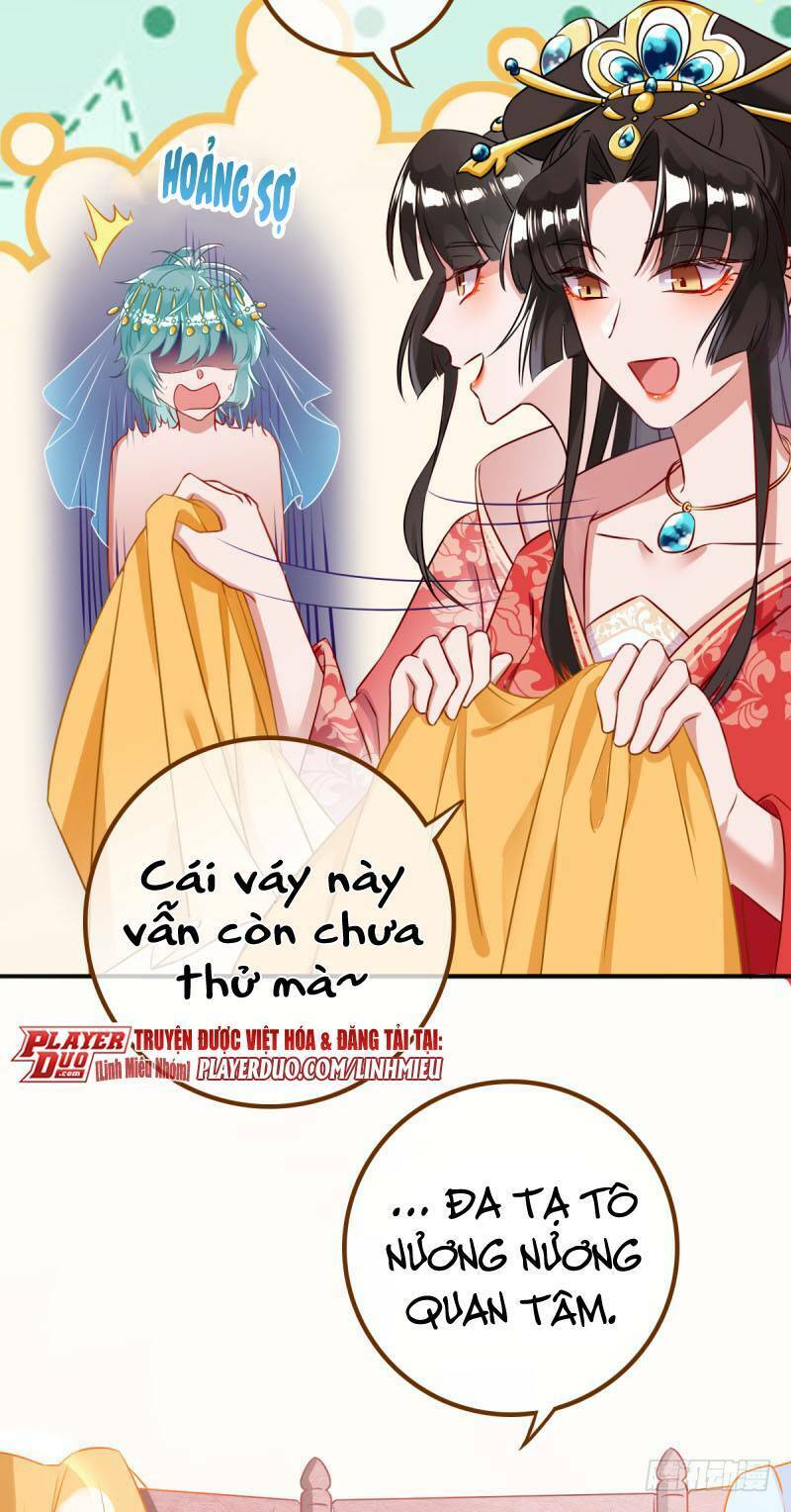 Hệ Thống Nghịch Tập: Chapter 8