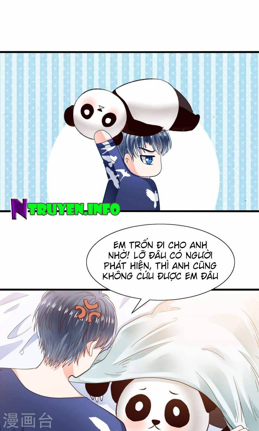 Tôi Bị Gấu Trúc Nhìn Trúng Rồi: Chapter 10