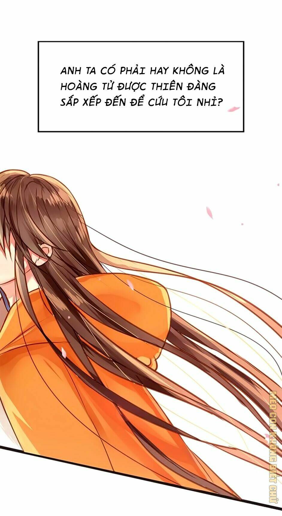 Không Có Ssr Làm Sao Để Yêu: Chapter 4