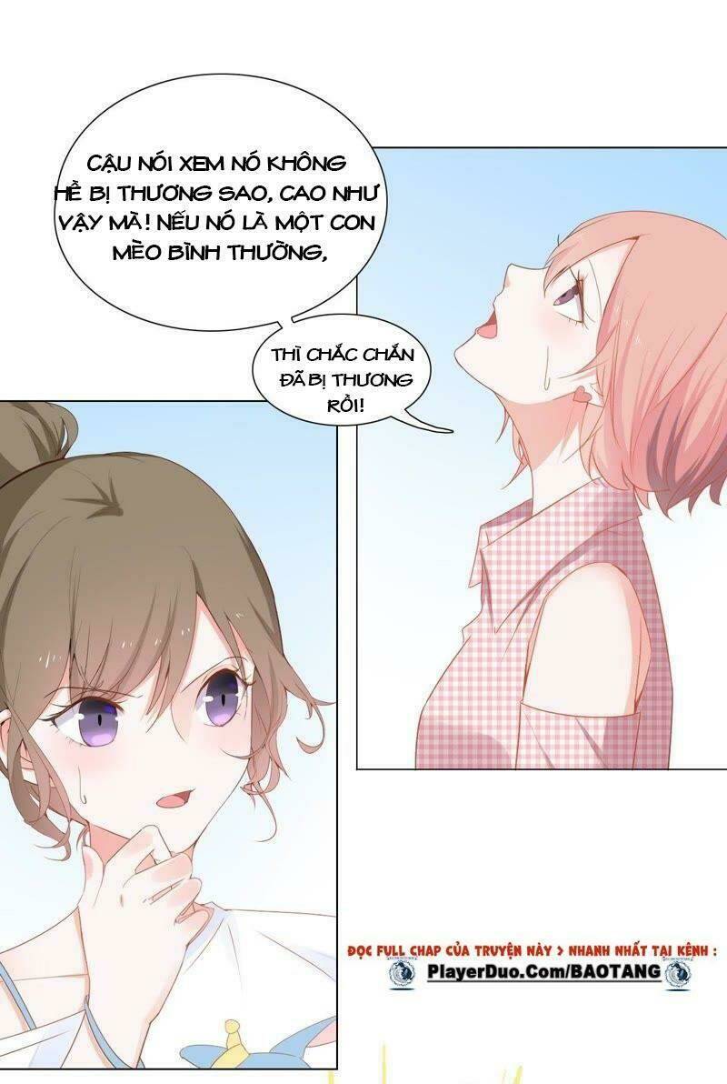 Thập Nhị Hắc Miêu: Chapter 2