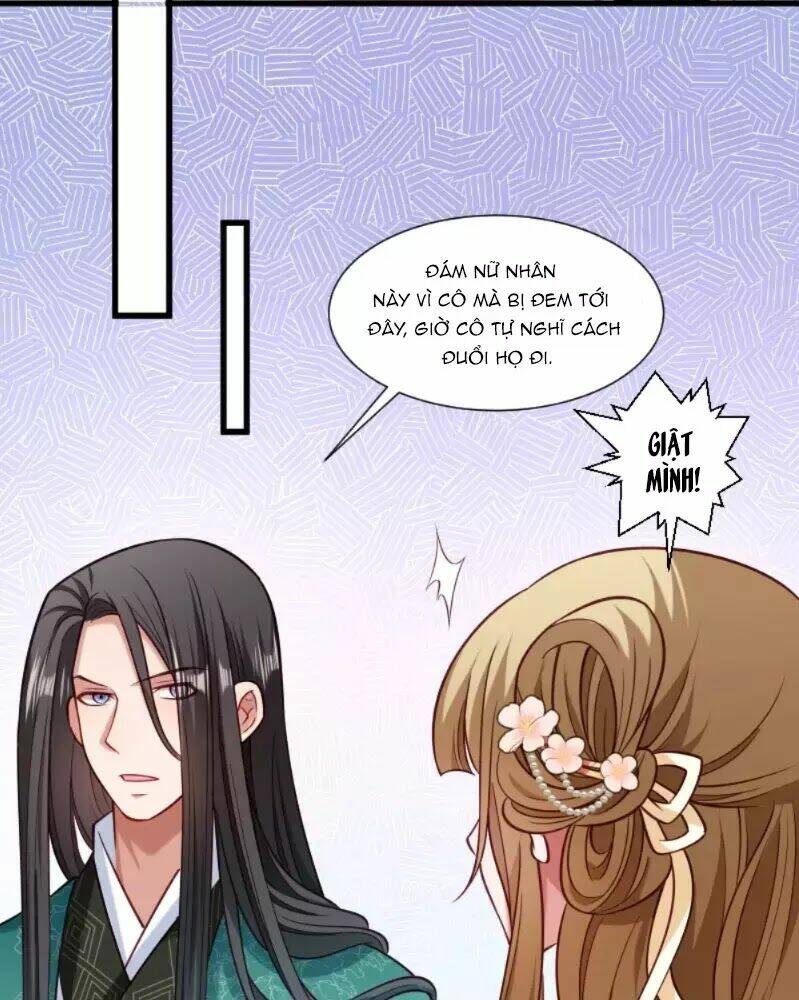 Tiểu Hoàng Thư Và Tiểu Hoàng Thúc: Chapter 50