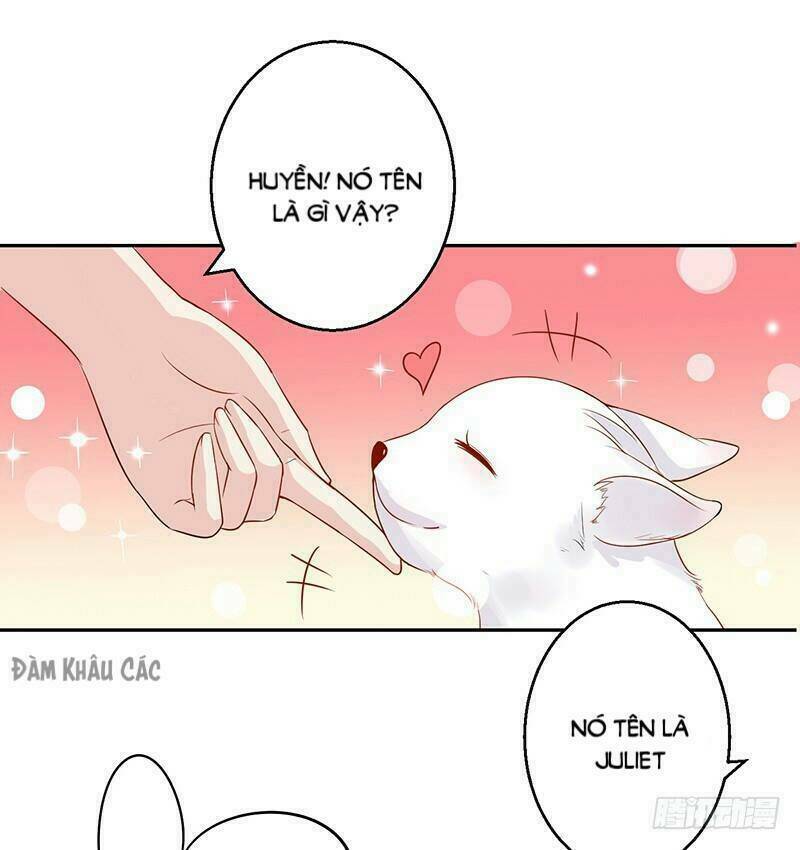 Trường Học Thảo Yêu Hoa: Chapter 34