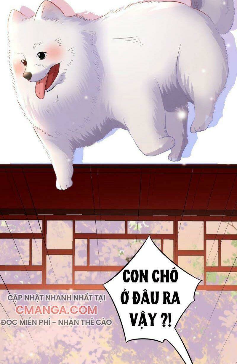 Quận Chúa Vững Vàng, Thiết Lập Nhân Vật Không Thể Vỡ: Chapter 55