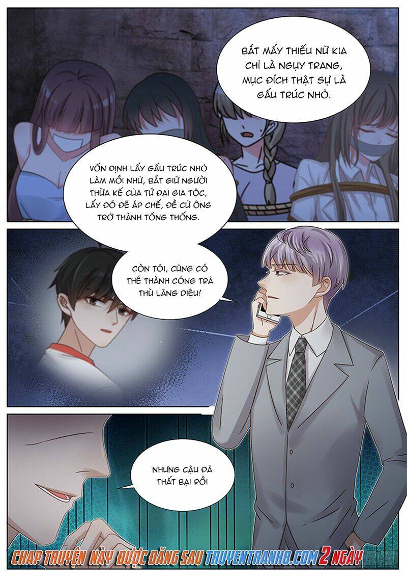 Vương Bài Giáo Thảo: Chapter 210