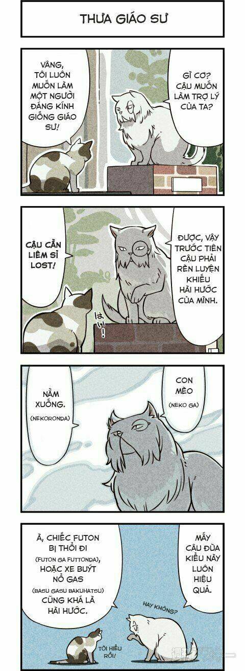 We Are Cat: Chapter 6