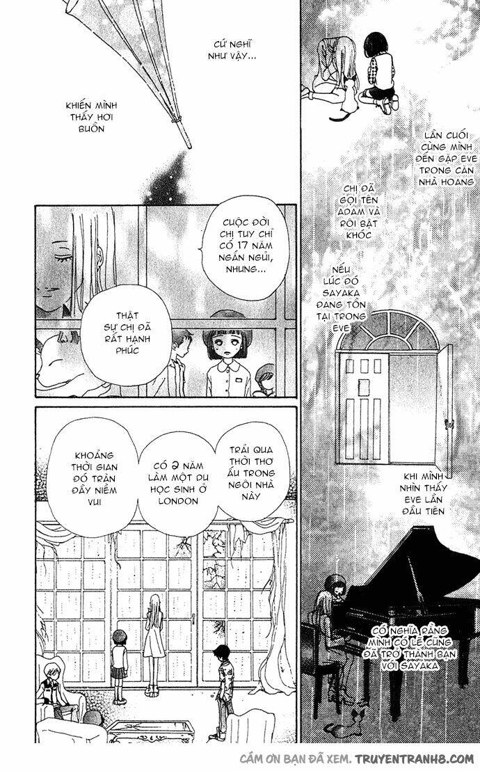 Last Quarter: Chapter 11