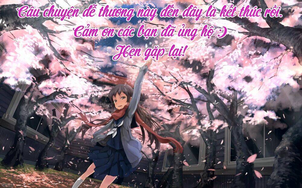 Vivid Cherry: Chapter 4