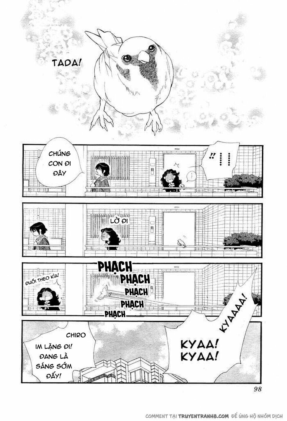 Orange Chocolate: Chapter 8