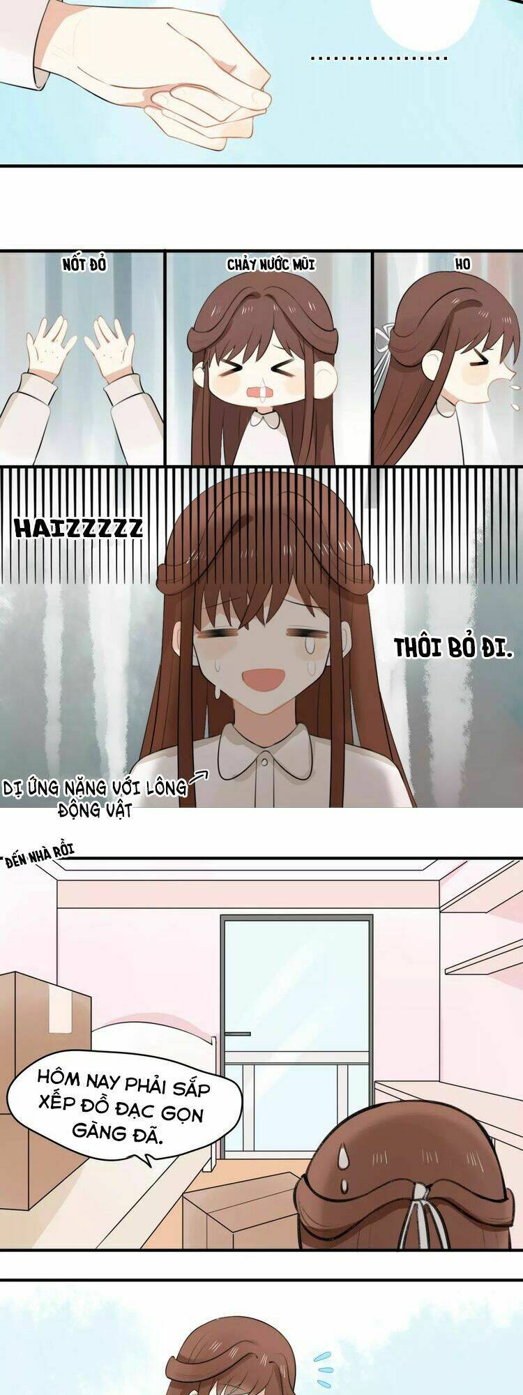 Tiểu Miêu Và Hắc Diệu Thạch: Chapter 1